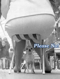 Name:  funny0285-2.jpg
Views: 755
Size:  17.6 KB