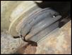 Is it time for replacement?-pass_lower_balljoint.jpg