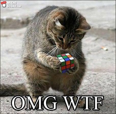 Name:  omgwtf.jpg
Views: 137
Size:  44.3 KB