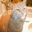 mister_parton's Avatar