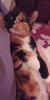 Mari_hadalittlelamb's Avatar