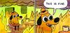 Redbeard001's Avatar