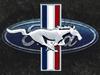 05 Fx4 MeanGene's Avatar